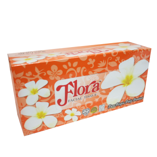 Flora Facial Tissue 2 Ply 160 Sheets