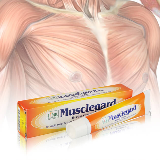 Link Musclegard 25g